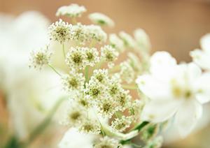 結婚指輪選びに迷ったら！福岡で人気のブライダルジュエリーショップを徹底解説